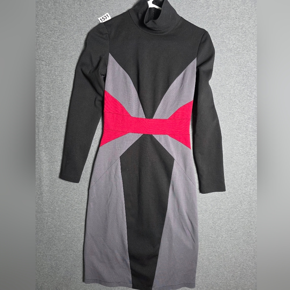 Chic Black and Red Long Sleeve Turtleneck Dress. Stretchy Back Zip. Sheath